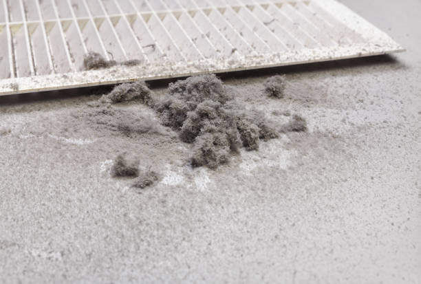 Best Emergency Air Duct Cleaning  in Volo, IL