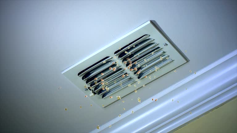 Best Air Duct Cleaning Near Me  in Volo, IL