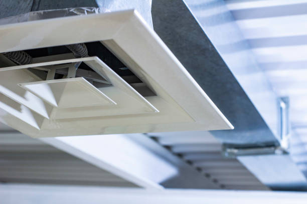 Best Ductwork Cleaning Services  in Volo, IL