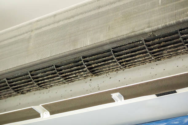 Best Affordable HVAC Duct Cleaning  in Volo, IL