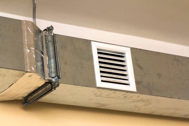 Best Commercial Air Duct Cleaning  in Volo, IL
