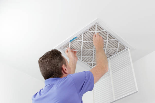 Best Home Air Vent Cleaning  in Volo, IL